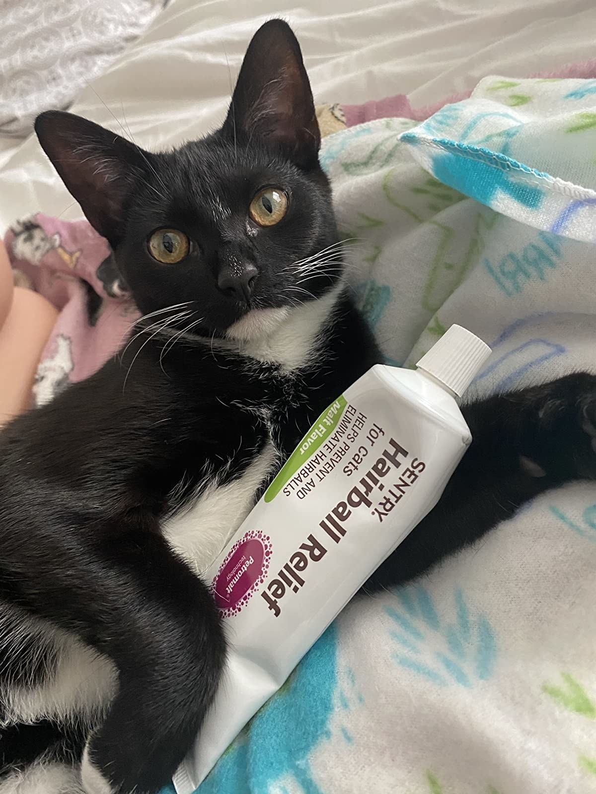 Reviewer photo of their cat holding the hairball relief tube