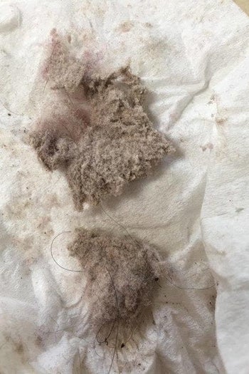 Same reviewer's picture of piles of dust