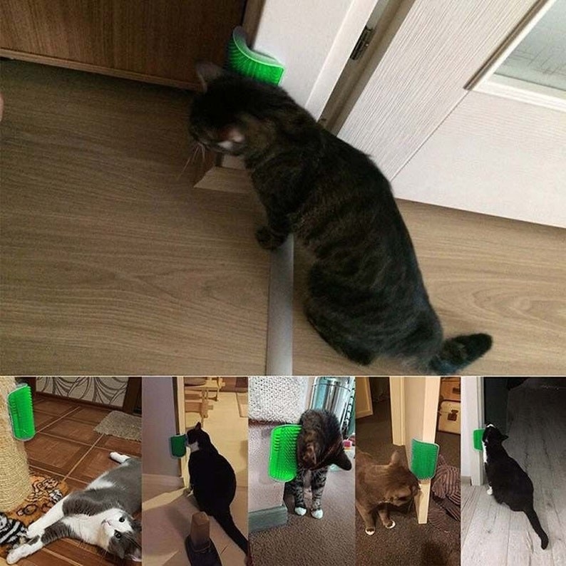 A photo collage of multiple cats using the groomer