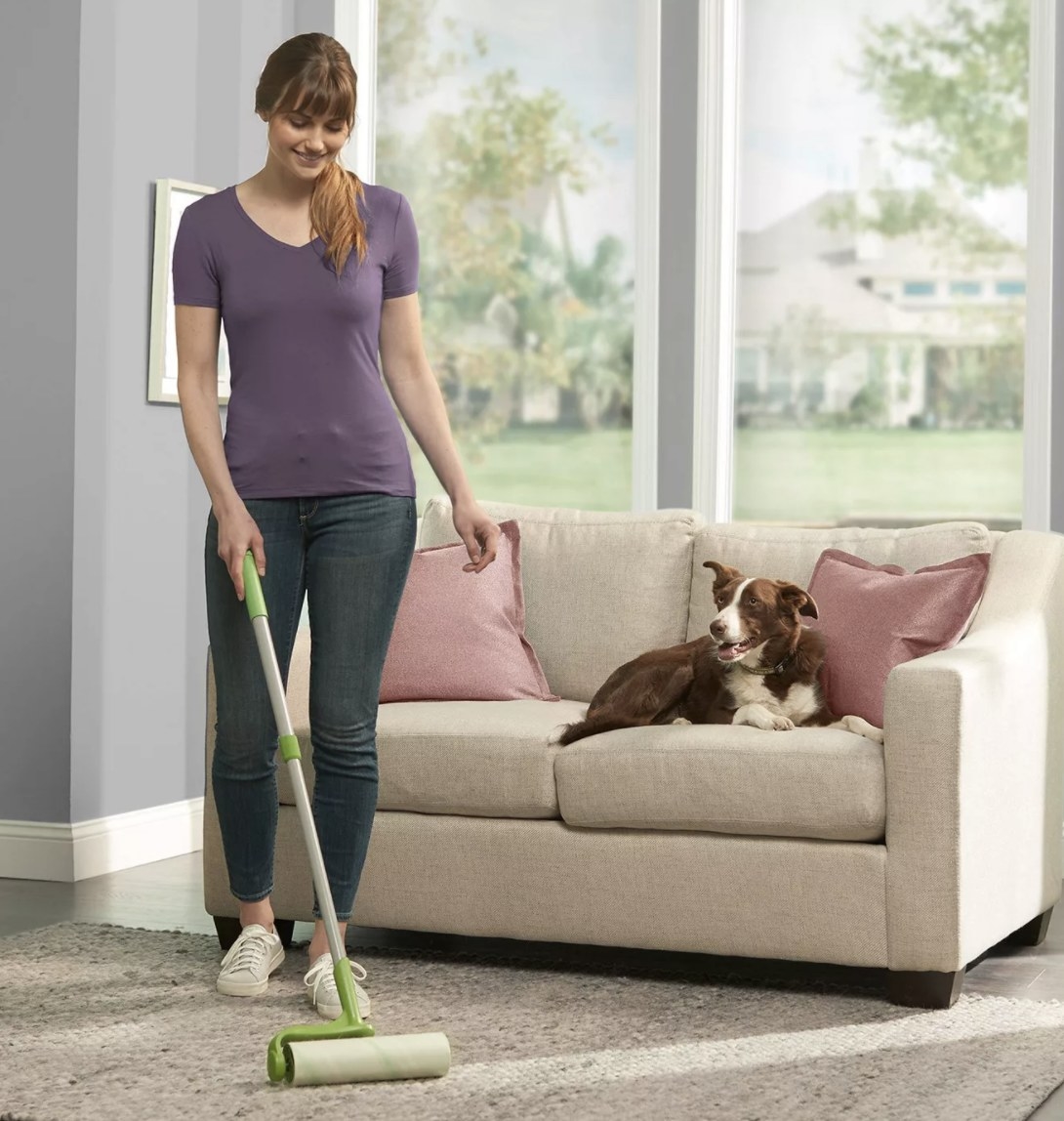 An adult uses the lint roller on the carpet while a dog on a couch nearby sits and watches