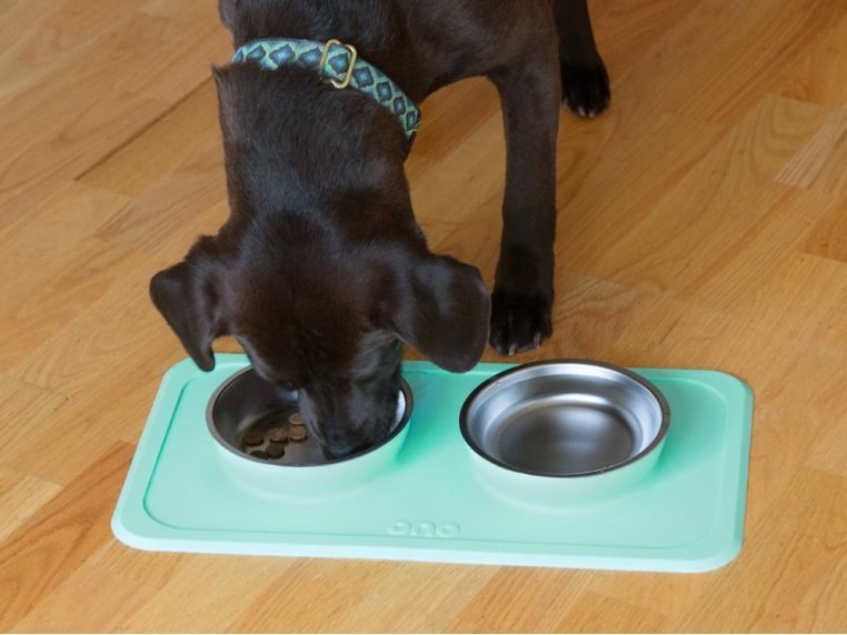 a dog eating from a bowl inside the double mat