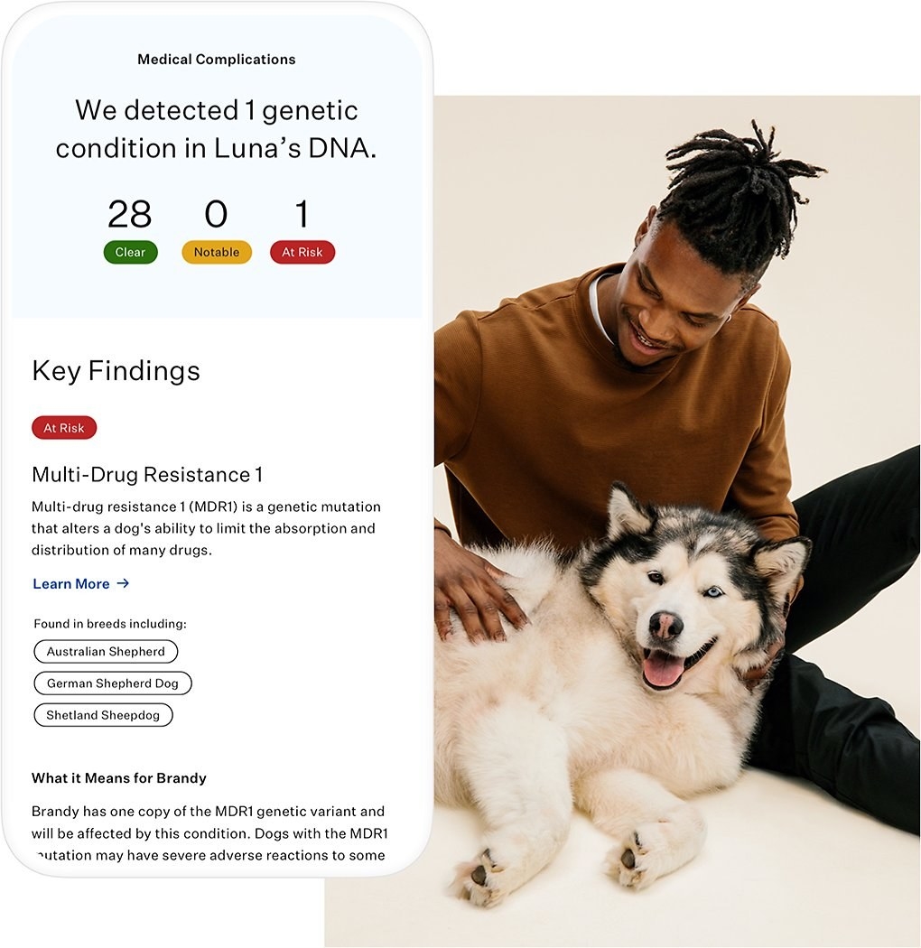 Dog DNA test