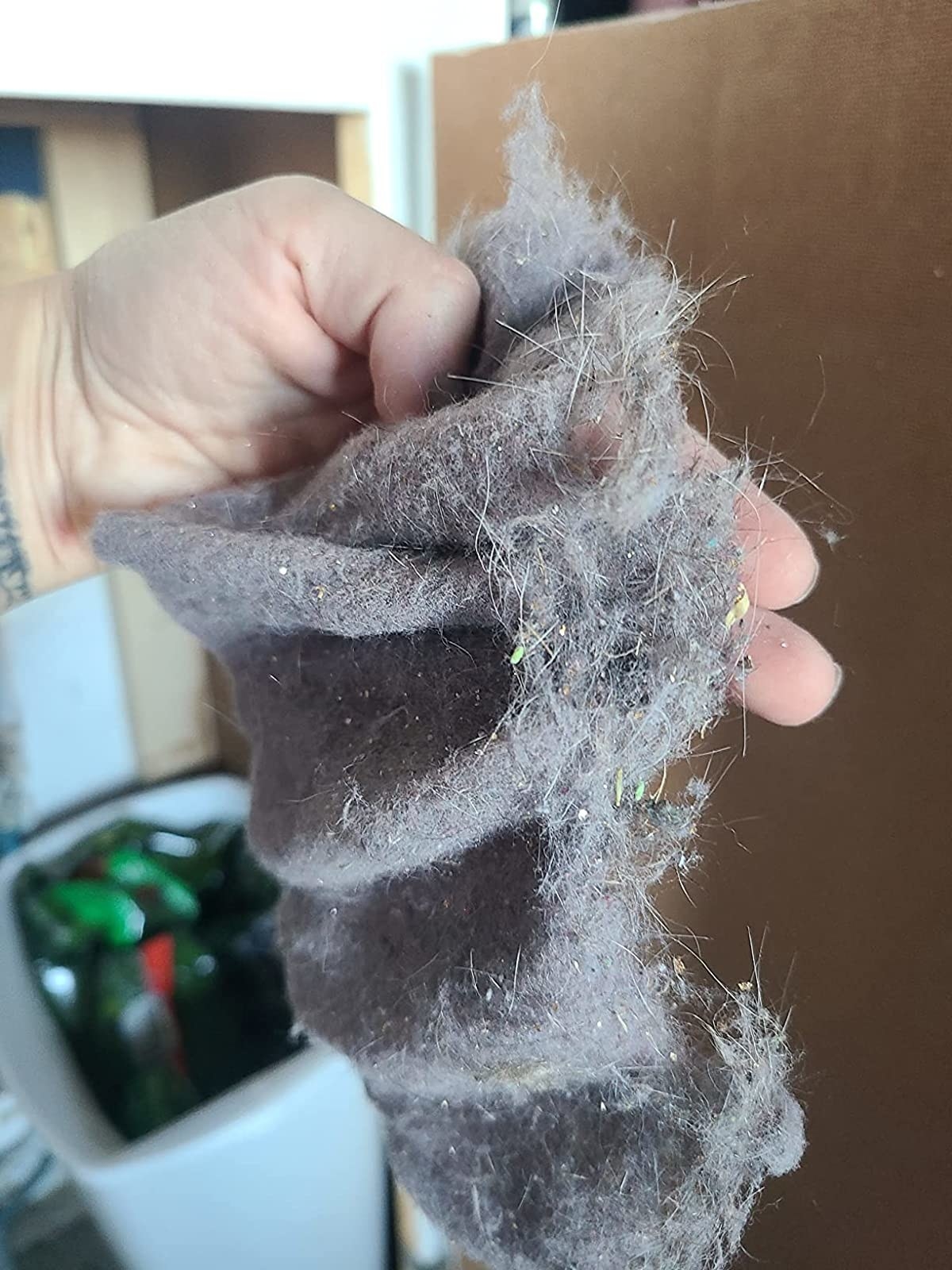 reviewer holding up a mass of lint and fur