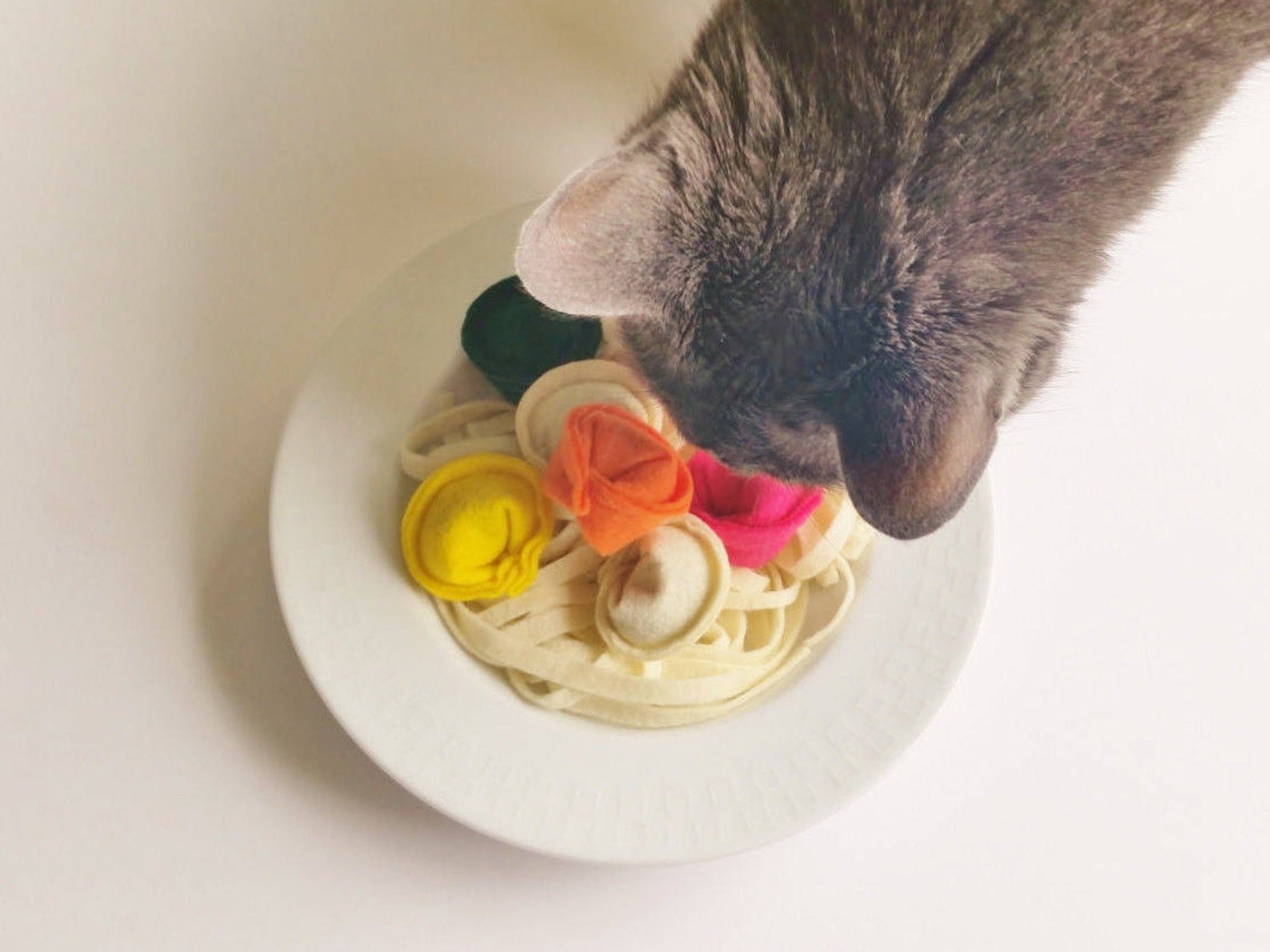 a cat sniffing a toy that looks spaghetti and tortellini