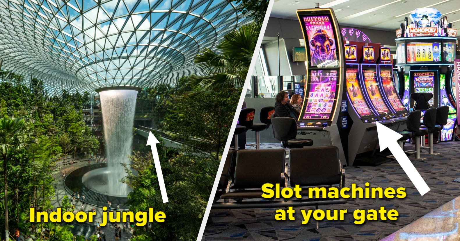 Singapore: New Jewel Changi Airport is a treat for jungle lovers [PHOTOS]