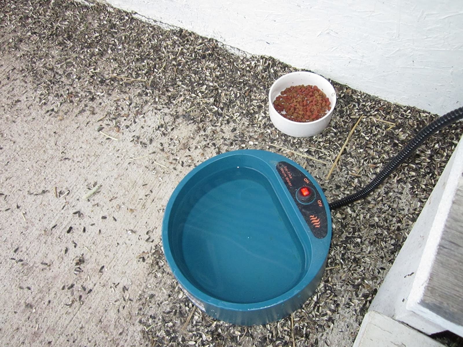 Reviewer photo of the teal bowl outside with water in it