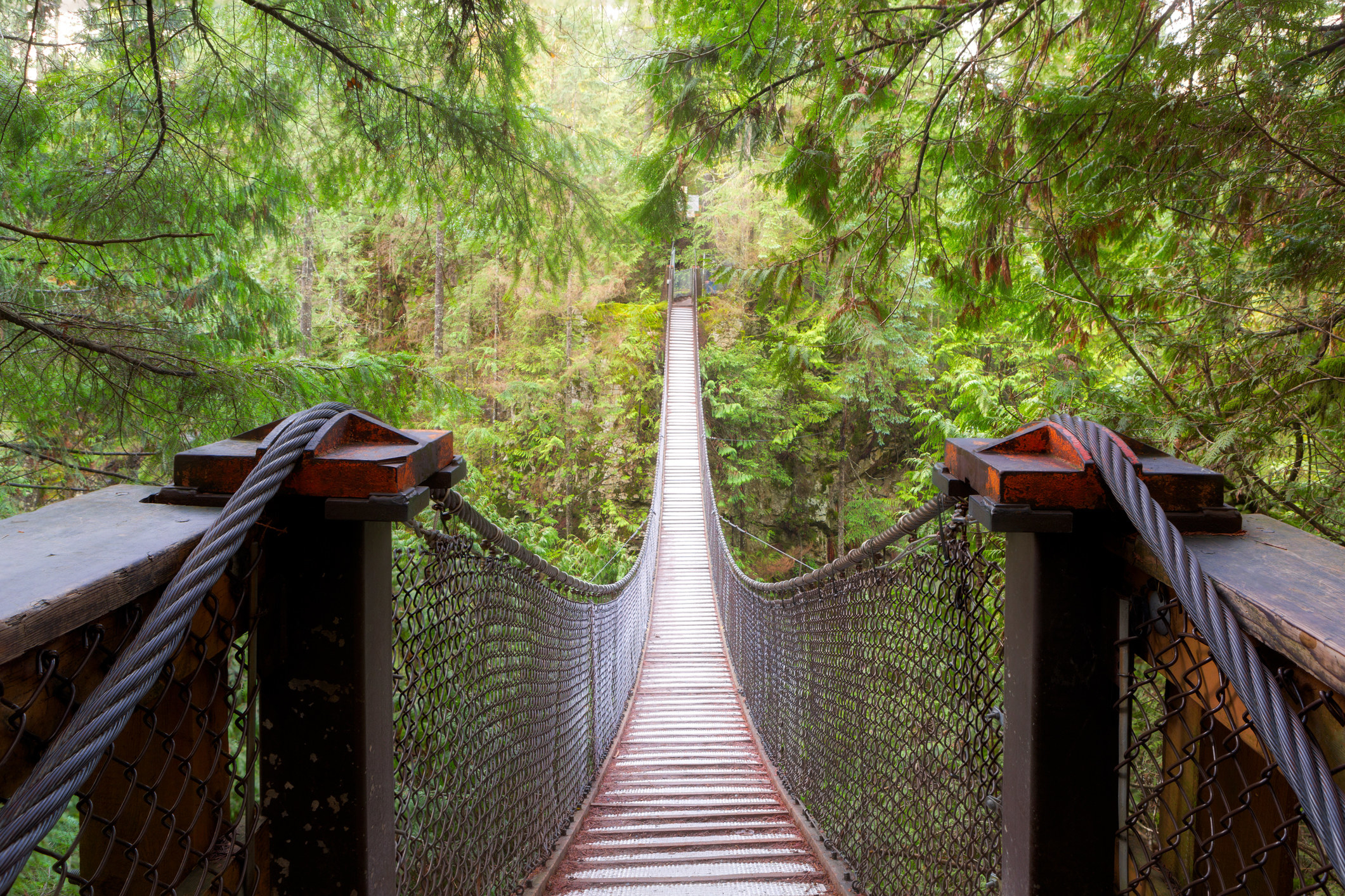 A suspension bridge at  Lynn Canyon Park.