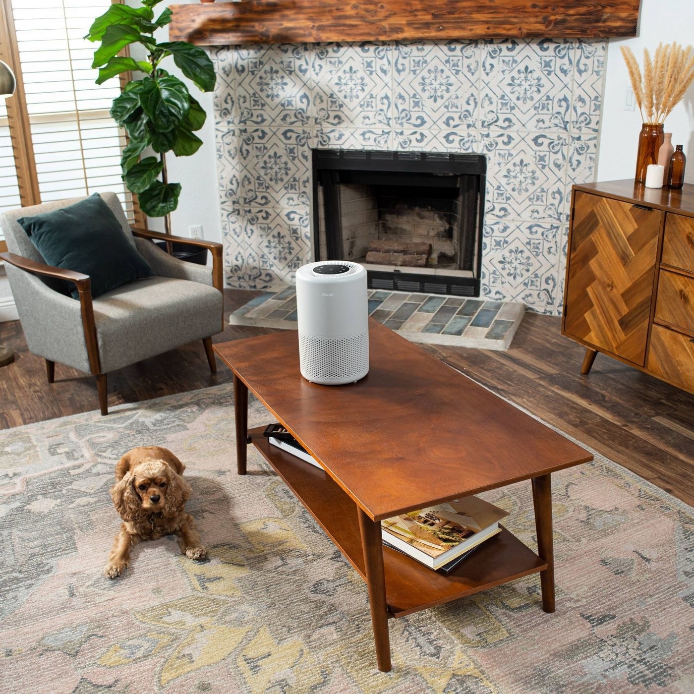 gray cylindrical air purifier on a wood table in a room with furniture and a dog