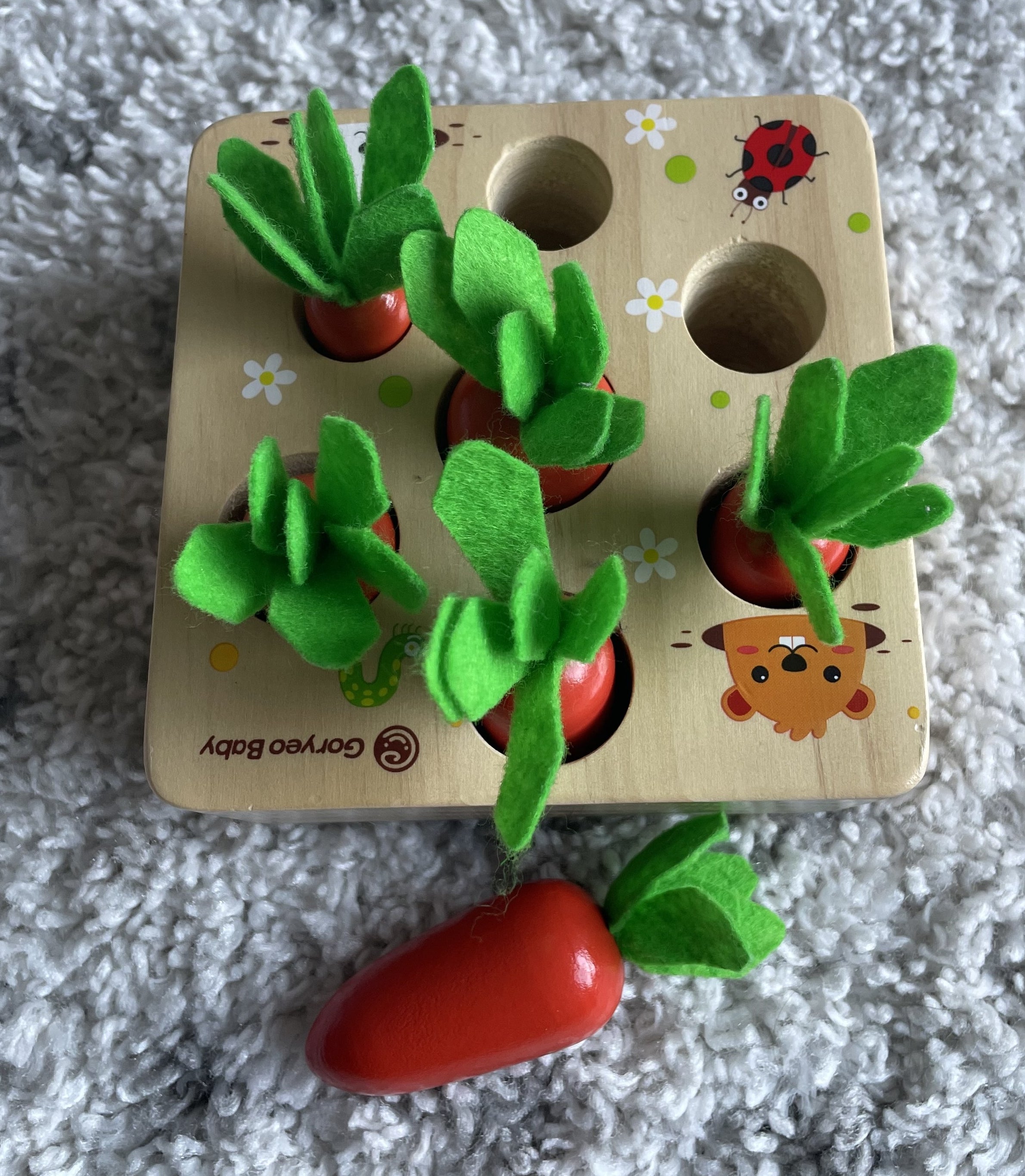Photo of the wooden block with holes surrounded by toy carrots