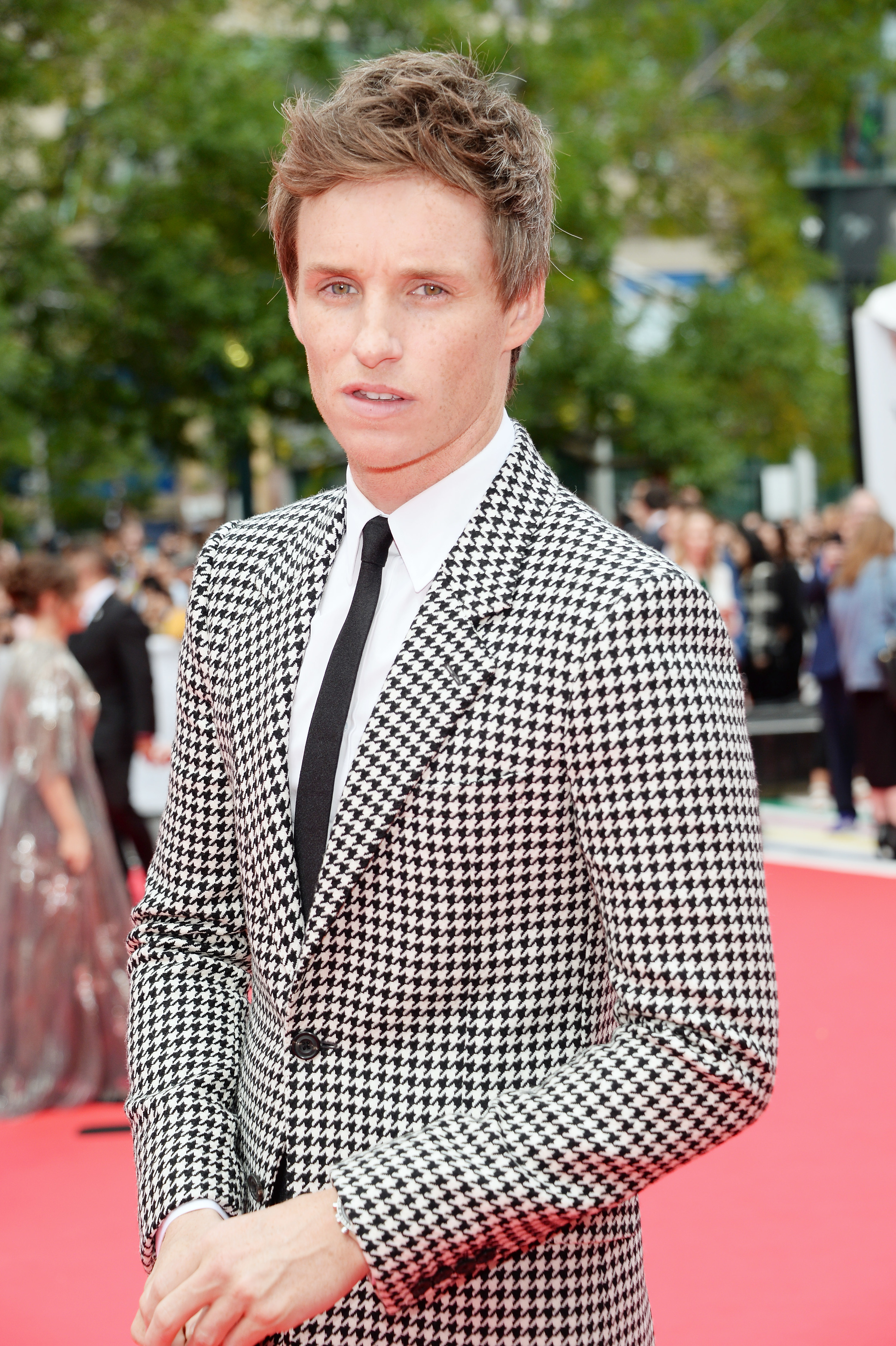 Eddie at a red carpet event in a houndstooth suit