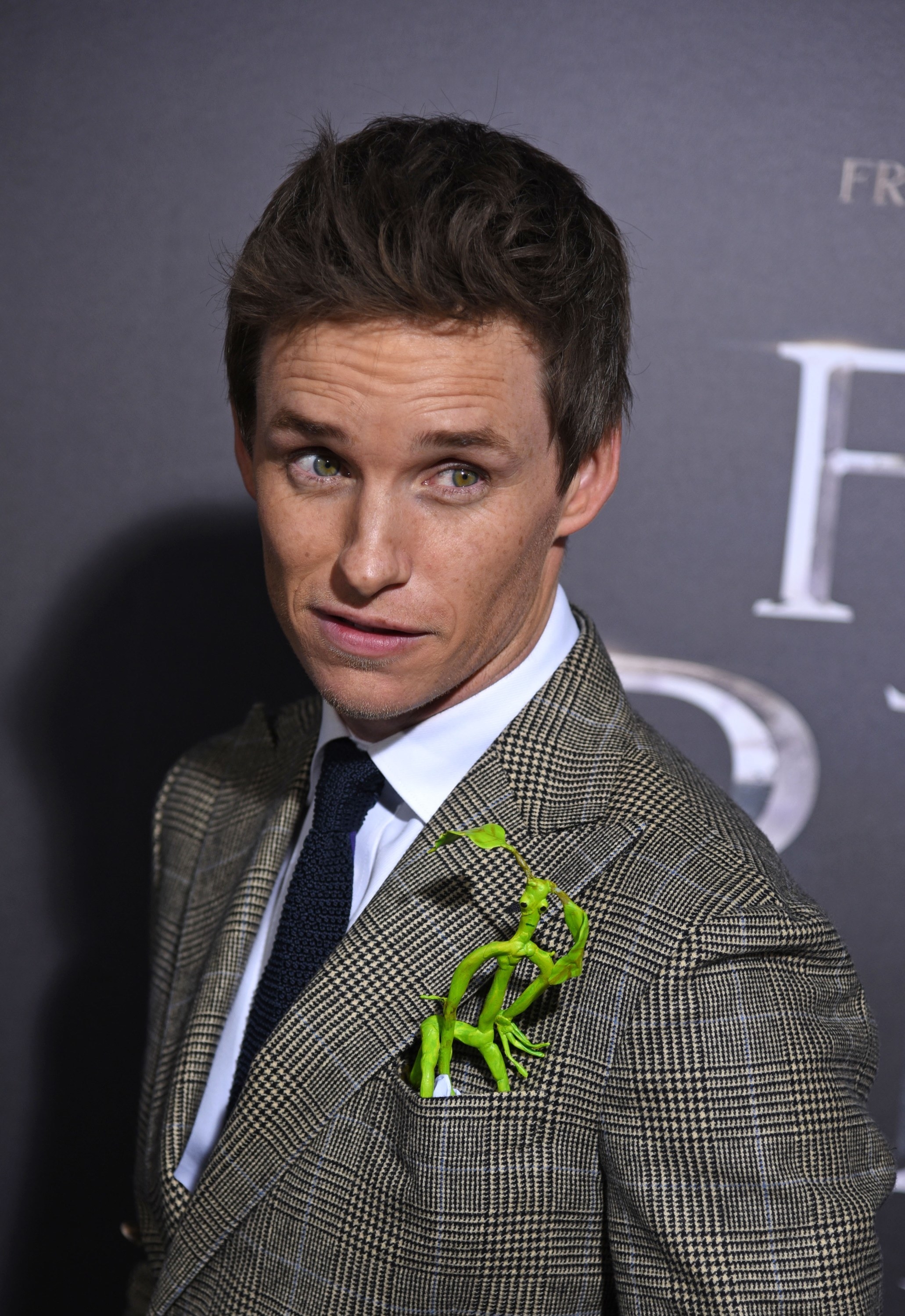 Eddie poses at a red carpet event with a toy version of the Bowtruckle, a fantastical beast, in his jacket pocket