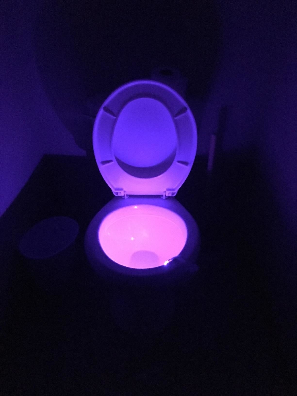 reviewer's toilet glowing with a purple light