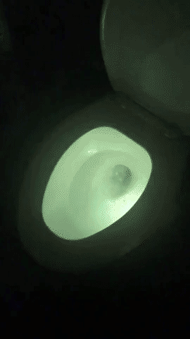 Gif showing a toilet bowl changing colors