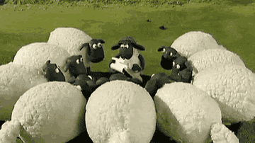 Sheep from &quot;Wallace and Grommit&quot; rapidly scattering from a group huddle
