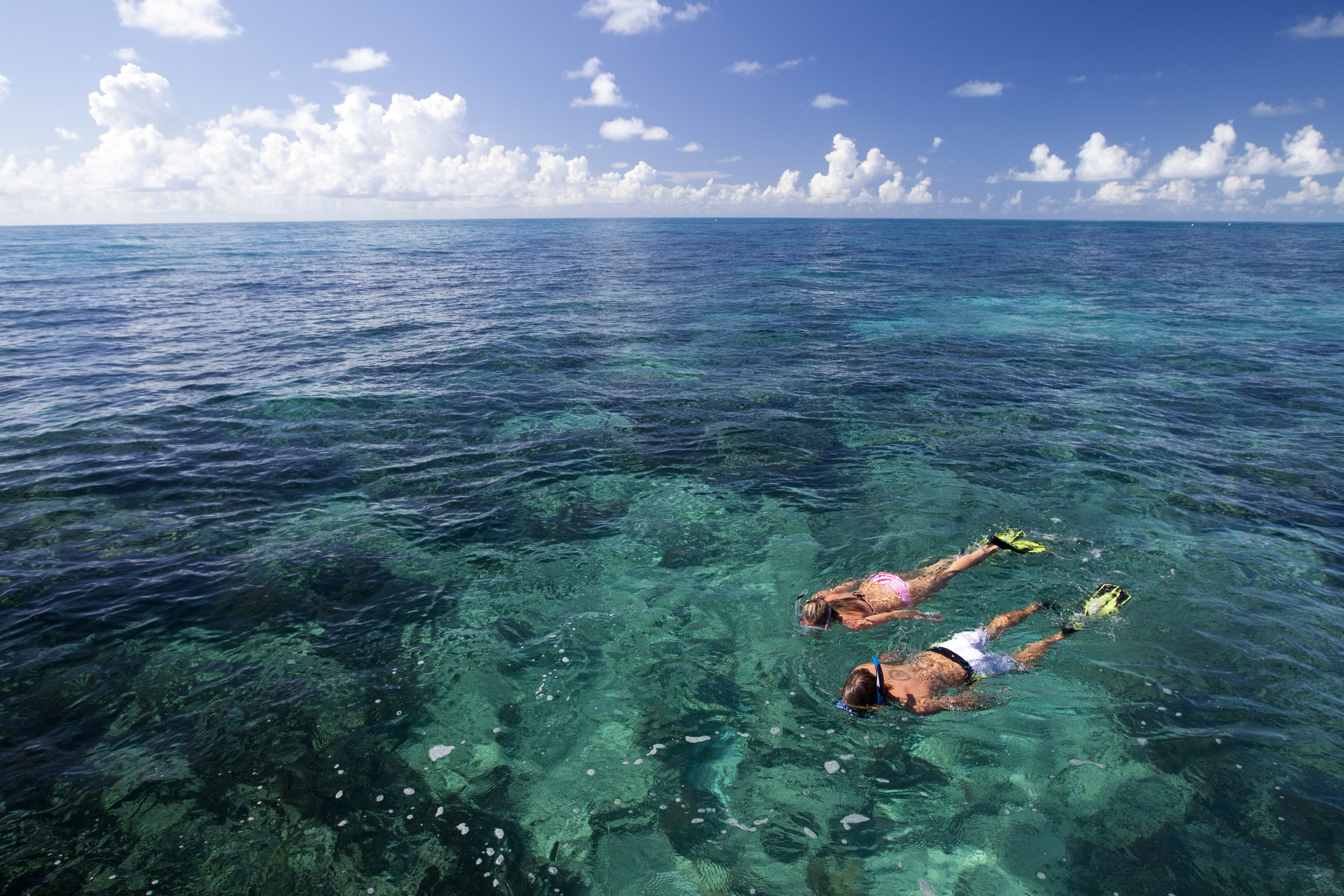 Couple snorkeling in the ocean