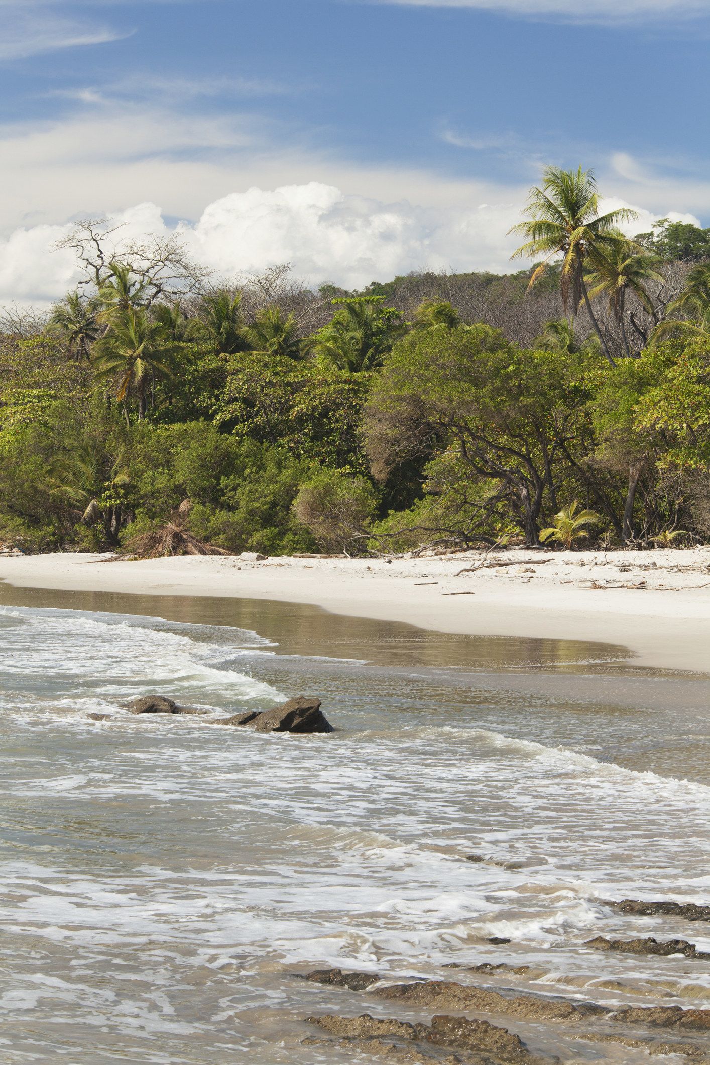 A beach in Costa Rica.