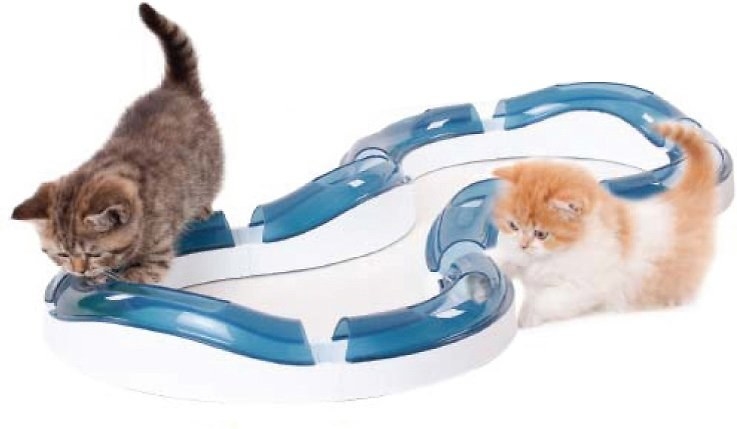 Lifestyle image of two kittens playing with blue and white circuit toy