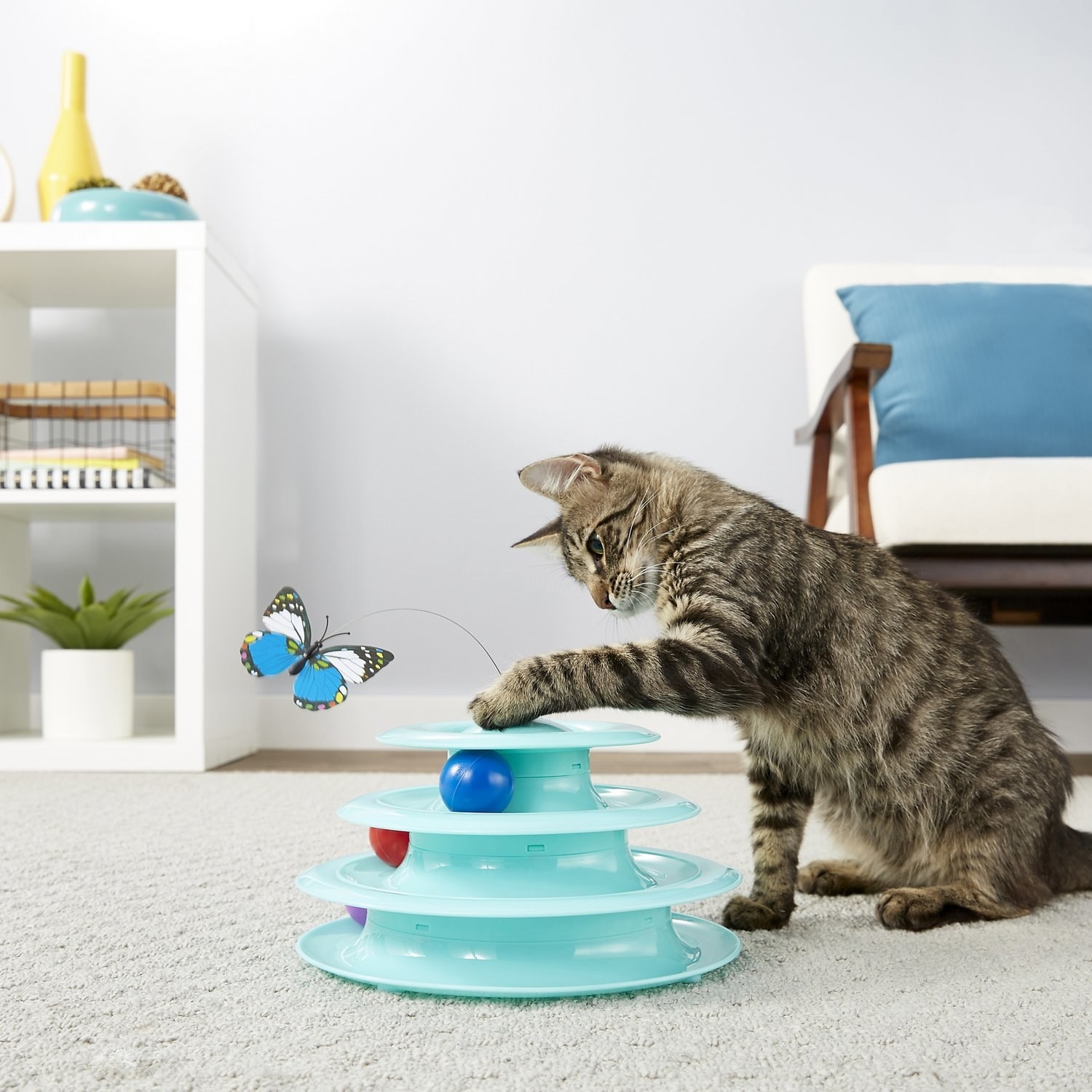 Black and brown cat playing with butterfly attached to blue plastic ball toy