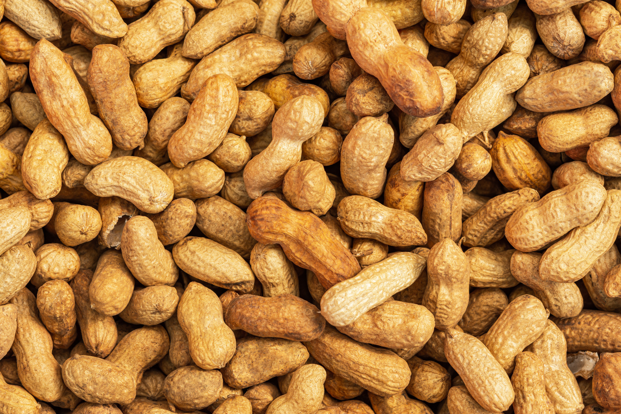 A pile of peanuts.
