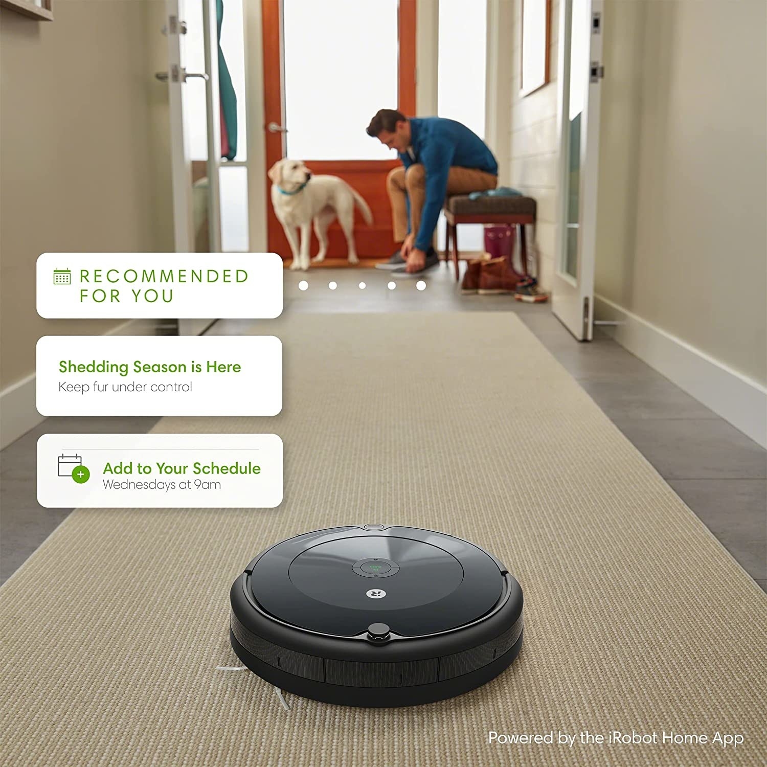 Small round black robot vacuum on a carpeted floor with text blurbs above it making cleaning recommendations
