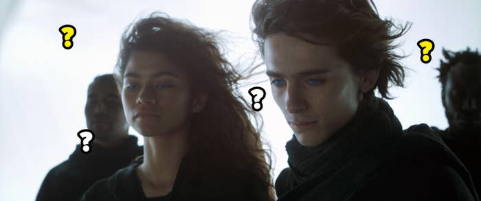 Zendaya and Timothee Chalamet in Dune with question marks everywhere