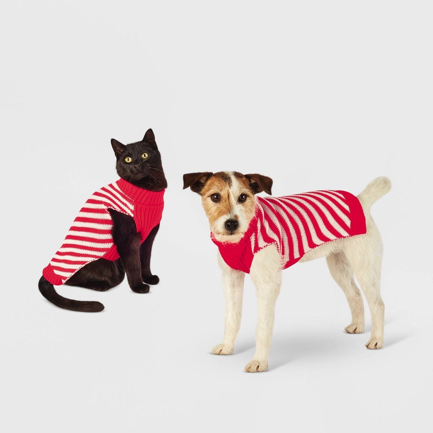 A dog and a cat each model the sweater.