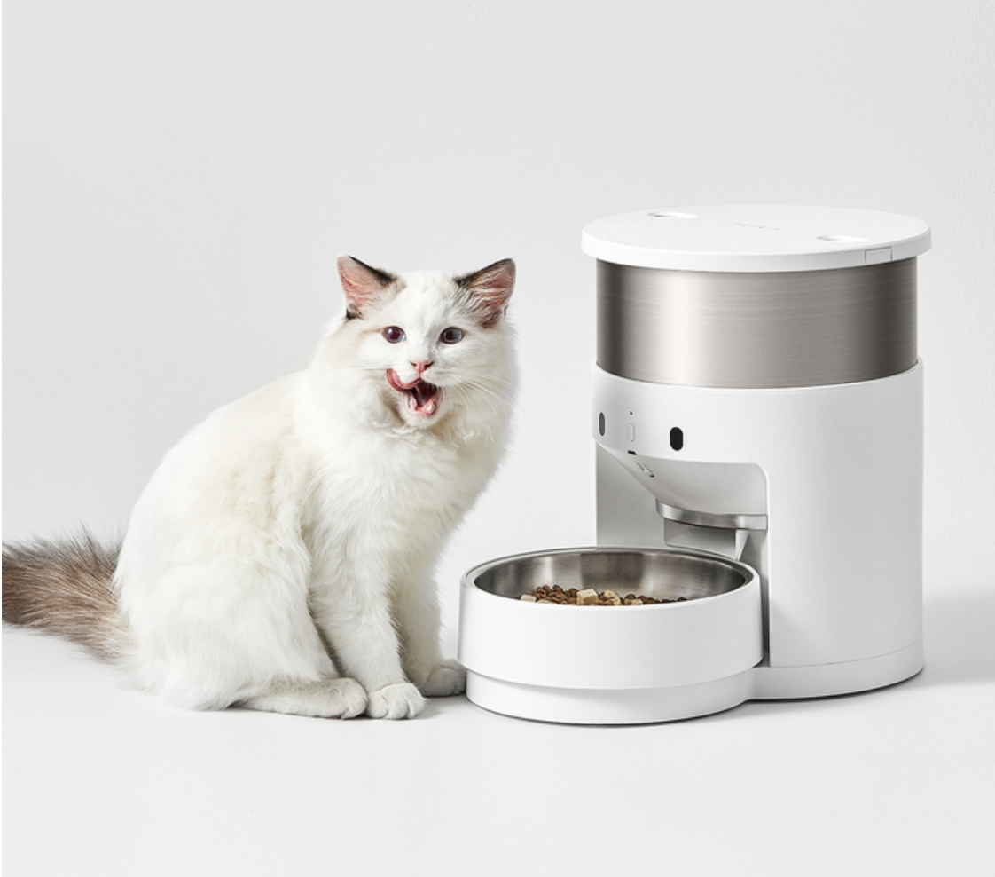 White cat next to the Fresh Element Infinity pet feeder.