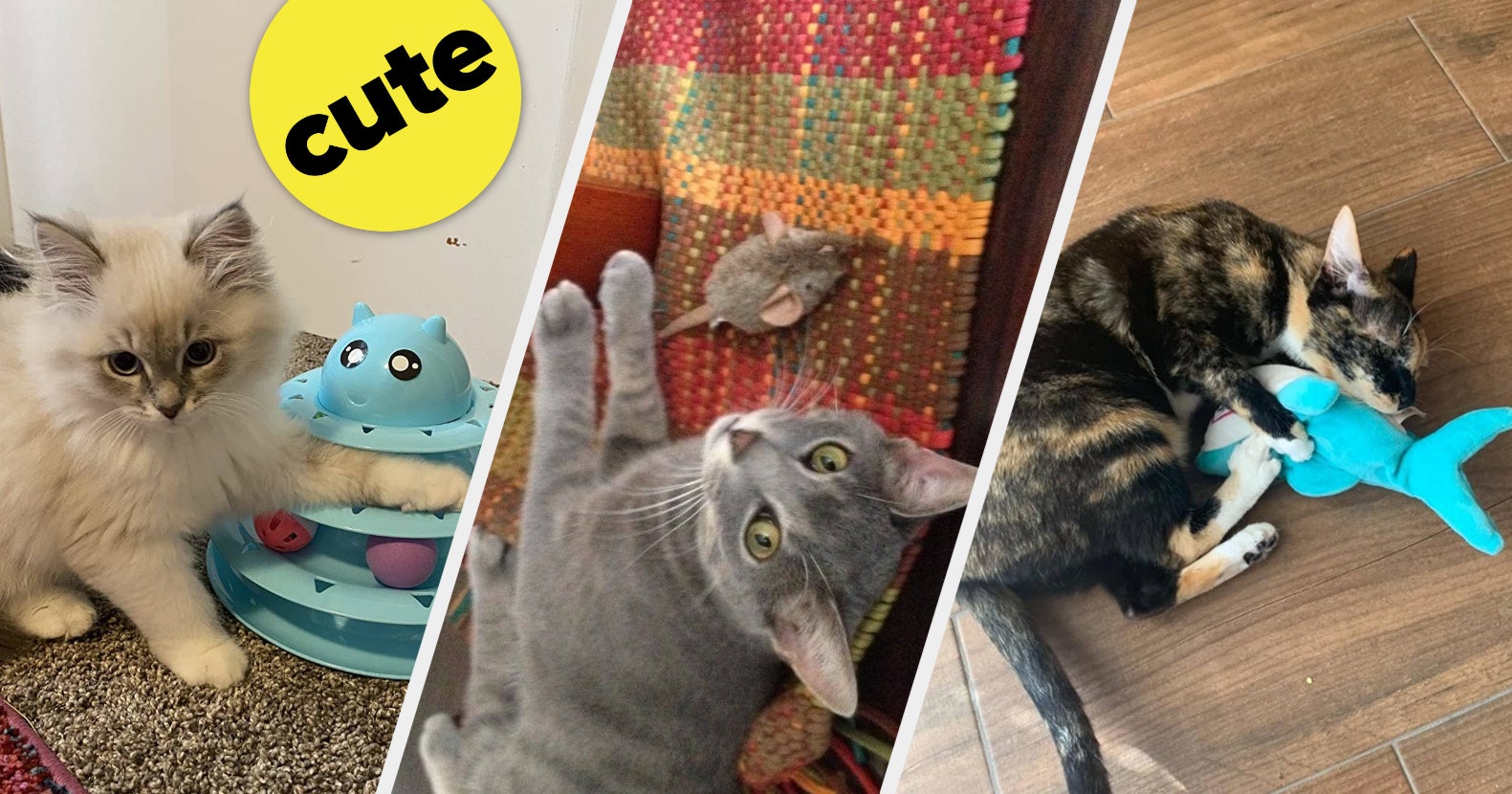 9 of the Best Cat Puzzle Toys to Keep Your Furry Feline Busy