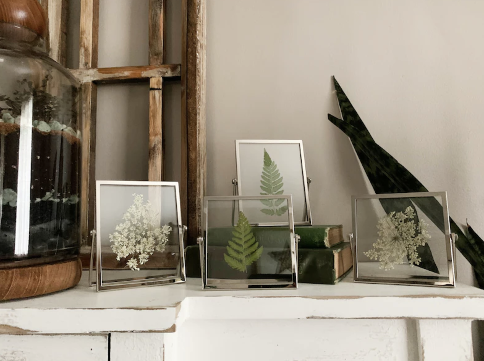 pressed tiny white flowers and fern leaves in silver transparent frame