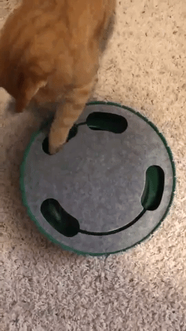 Reviewer video of orange cat playing with gray and green electronic mouse catching game