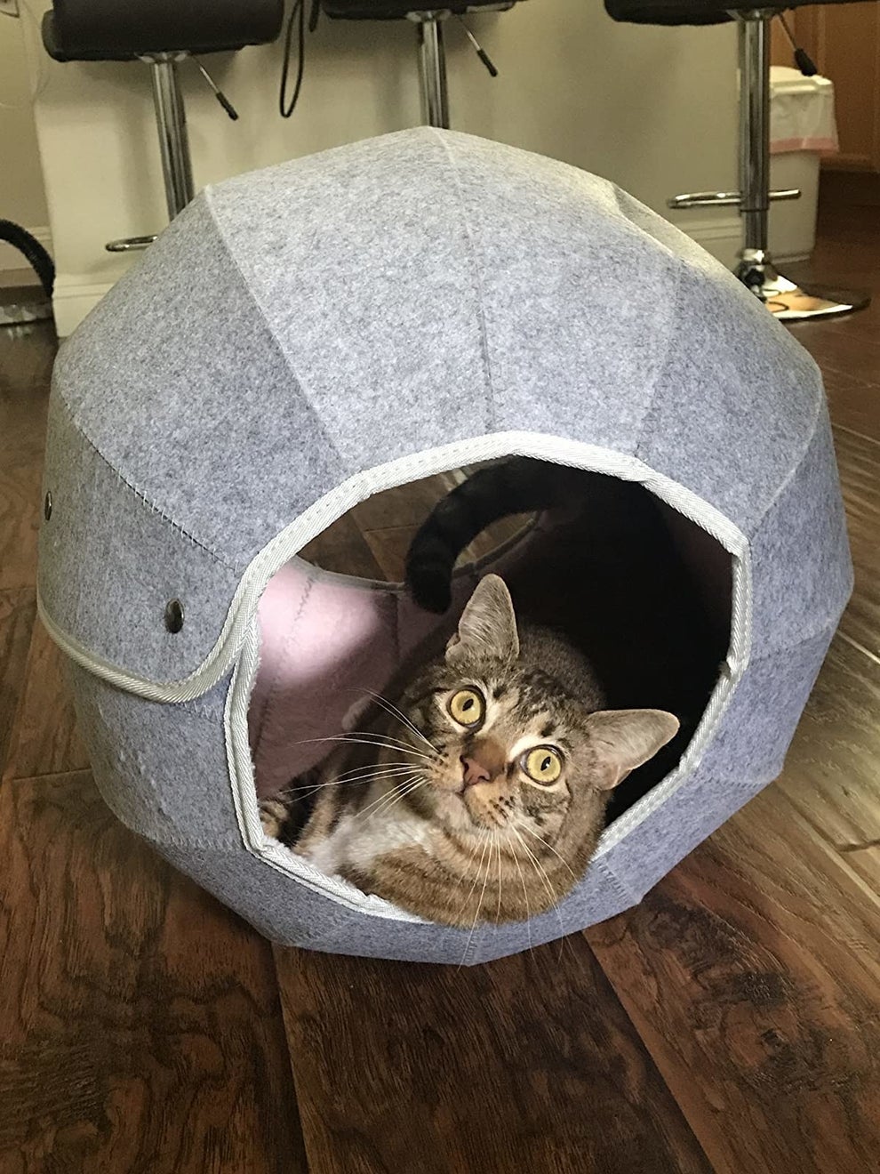 21 Best Cat Toys For Bored Cats In 2024