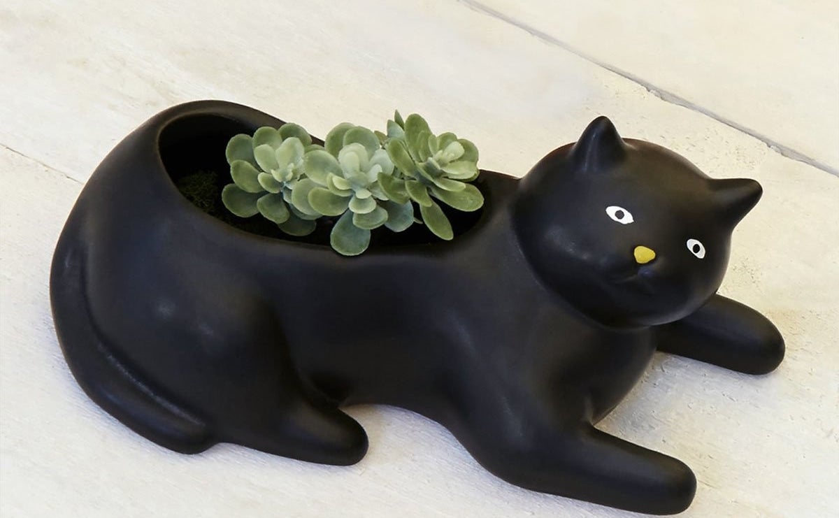 the black cat planter with a succulent inside