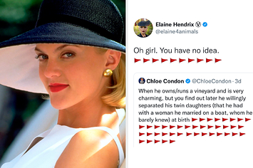 Meredith blake side by side tweet about meredith blake from elaine hendrix
