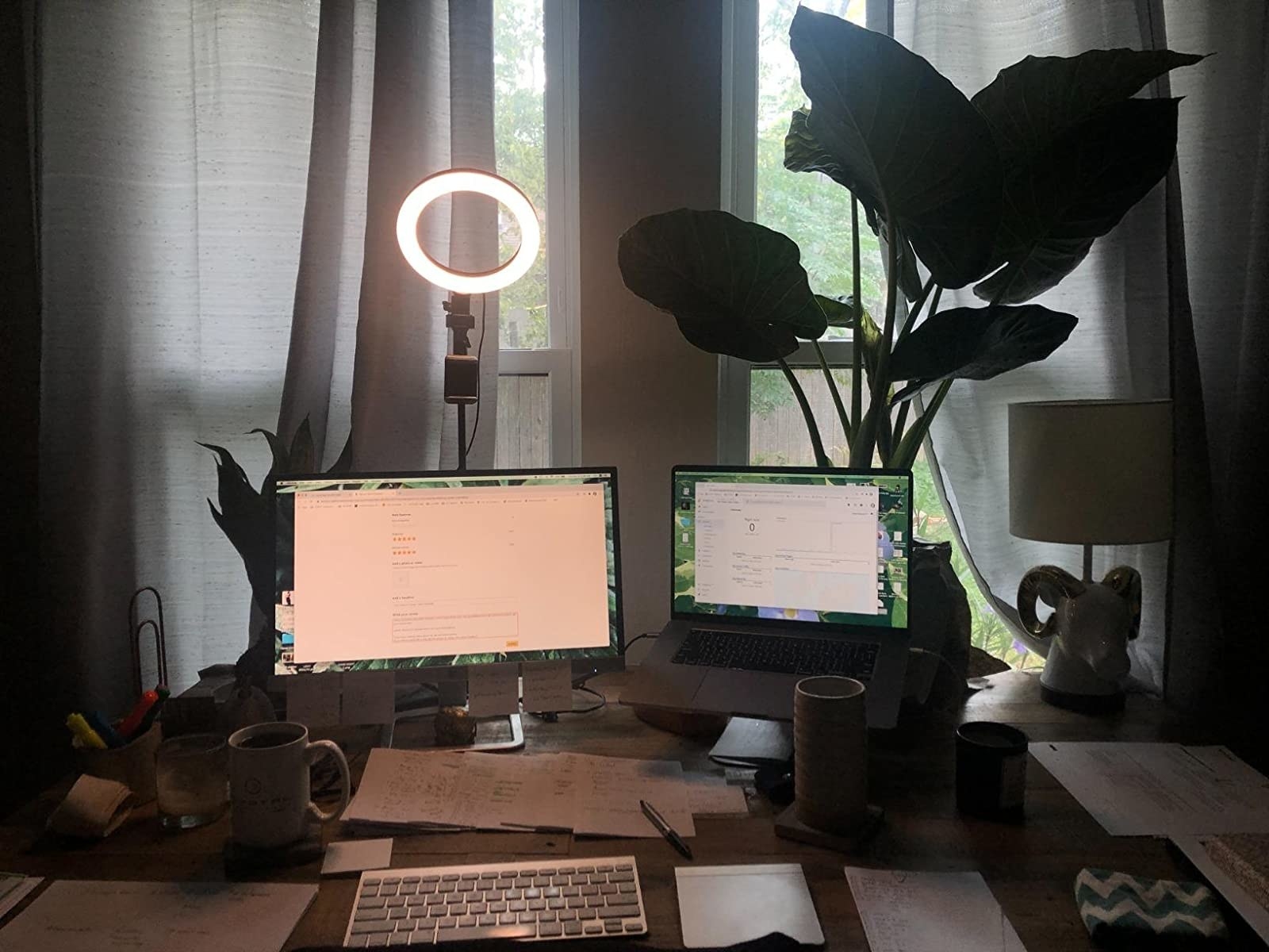 a reviewer&#x27;s ring light placed behind their computer