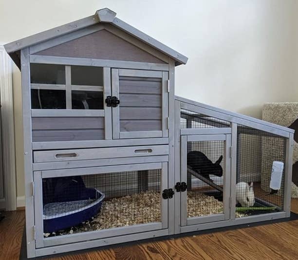 the multilevel rabbit house with two bunnies inside