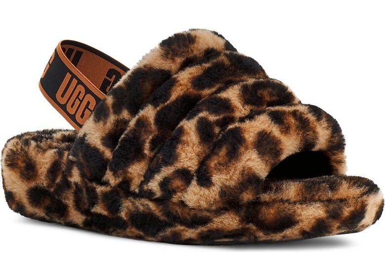 the leopard print slipper