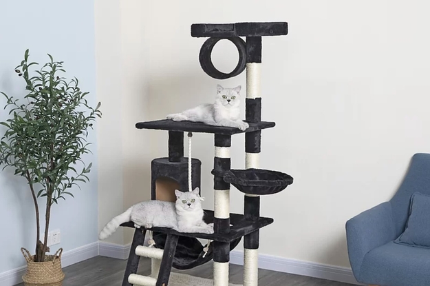 The cat tree in black