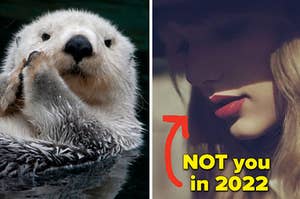 An otter is on the left in water with Taylor Swift on the right labeled, "NOT you in 2022"