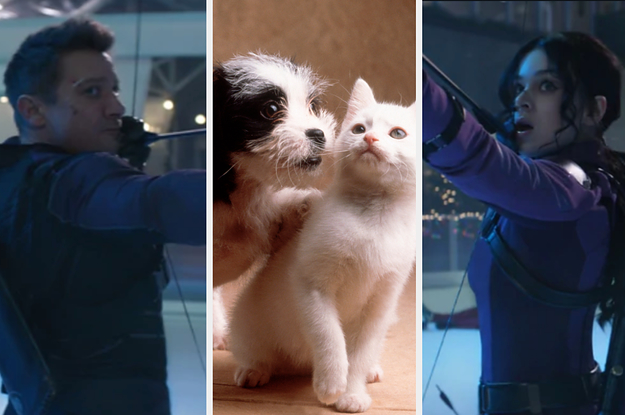 If You Play This Game Of "This Or That" With Complete Honesty, Then We Can Determine If You're More Clint Barton Or Kate Bishop From "Hawkeye"