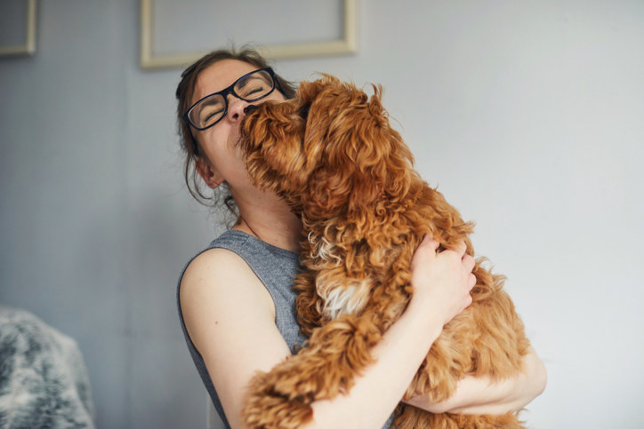 Woman holding her pet dog who is licking her face