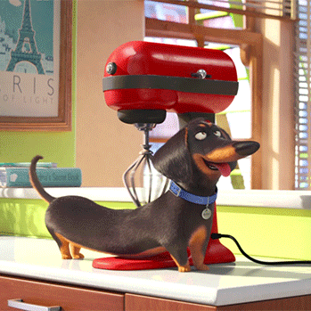 Gif of animated dog being massaged by stand mixer from The Secret Life of Pets