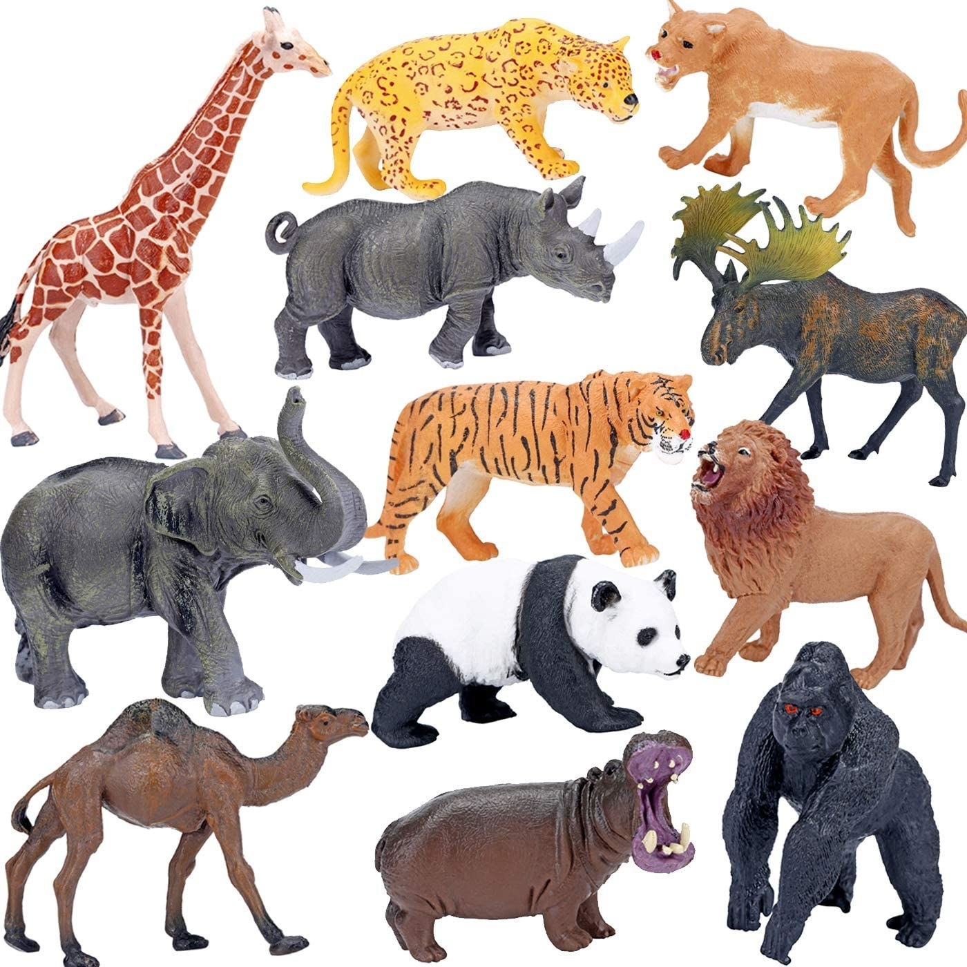 the twelve animals that include lion tiger hippo gorilla camel elephant rhino moose giraffe cheetah panda and mountain lion