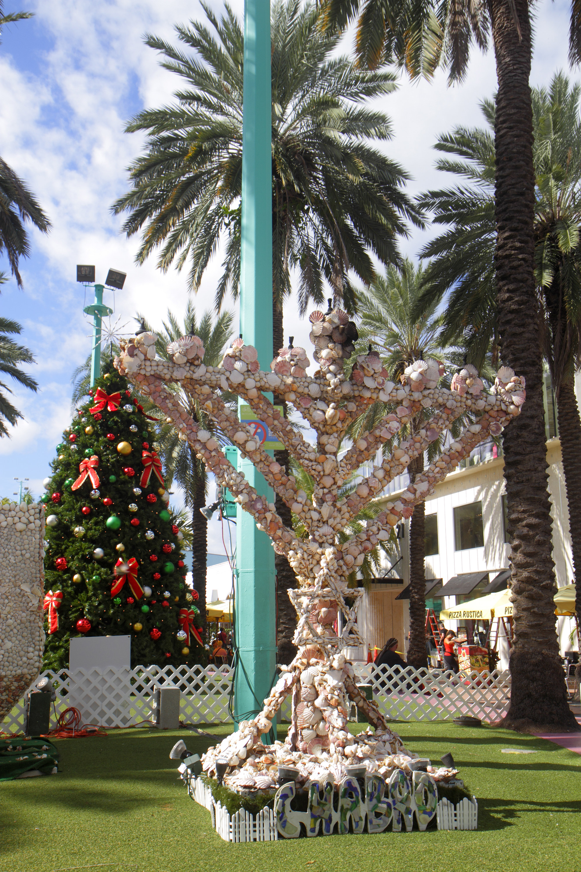 A menorah made of seashells sits below palm trees with a Christmas tree behind it