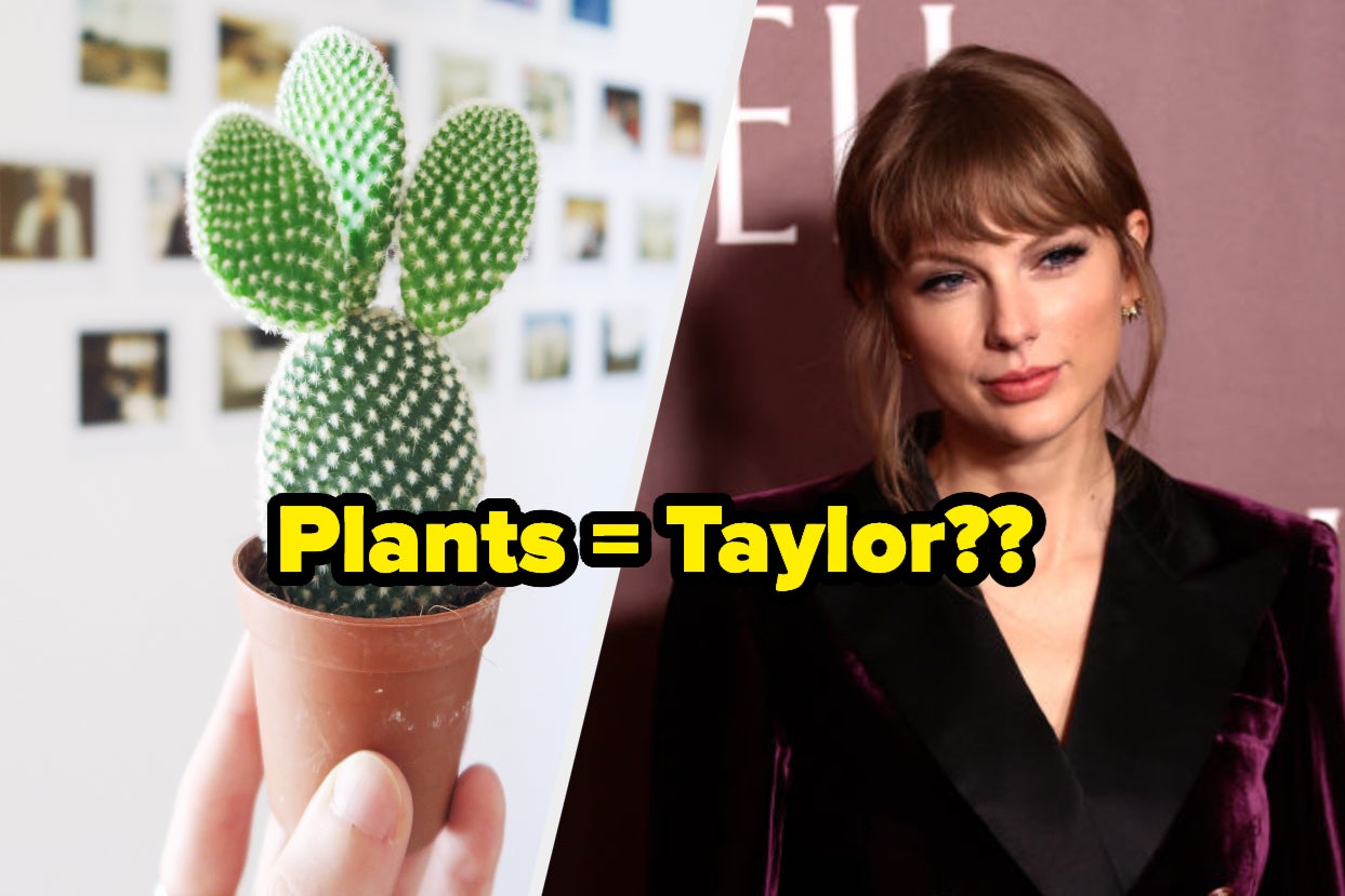 A hand holds a small potted cactus and a close up of Taylor Swift as she wears a velvet suit