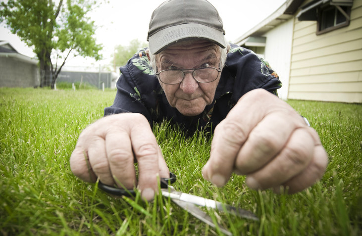 An old man cutting his grass with a pair of scissors.