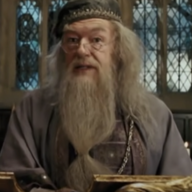 Michael as Dumbledore