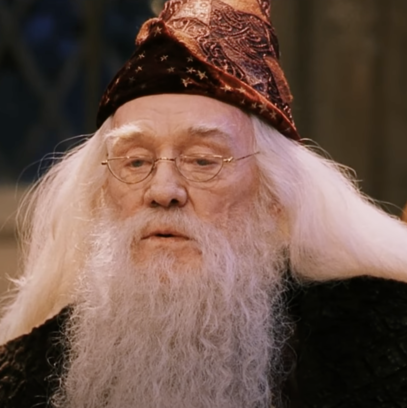 Richard as Dumbledore