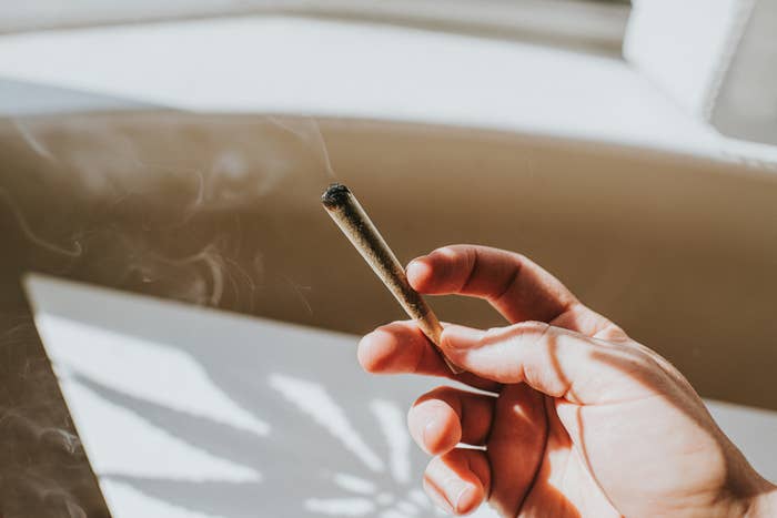 shot of a hand holding a lit joint with the shadow of a cannabis leaf in the background