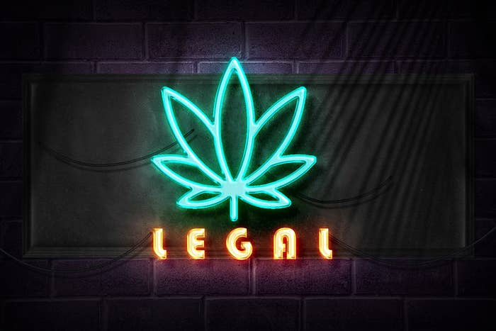 neon sign of a cannabis leaf with the word "LEGAL" in all-caps