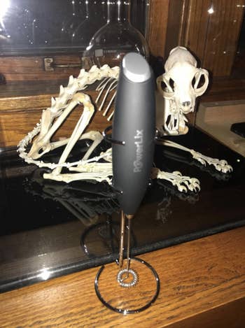 frother on provided stand in front of a cat skeleton